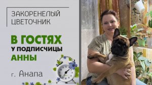 В гостях у Анны. г. Анапа. Уютный дом, интересная коллекция комнатных растений и чудесный пёс.