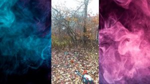 Начало пути к табаководству.