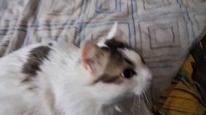 Весна началась дождями