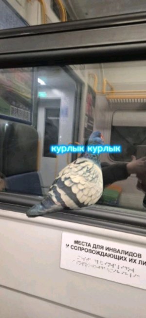 просто стрим.