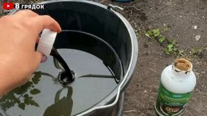 ПОЛИВАЮ ЭТИМ ОГУРЦЫ В АВГУСТЕ - собираю ПО ВЕДРУ КАЖДЫЙ ДЕНЬ