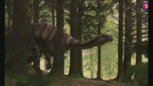 🤗Романтичная песня - Занял сотку ты на пиво!🍻