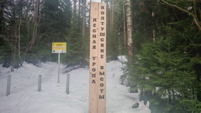 Пешеходный экологический маршрут Лесная тропа