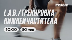 ТРЕНИРОВКА НИЖНЕЙ ЧАСТИ ТЕЛА с Еленой Дубас | 14 марта 2026 | Онлайн-тренировки World Class