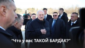 Лукашенко на ферме: "Пешком здесь в сапогах ходил, с людьми встречался!"