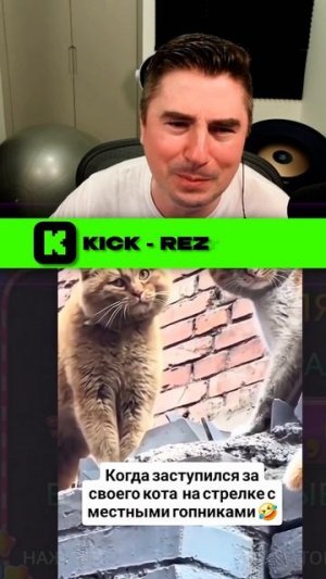 Разрулил конфликт котов 🤣🐈🤣 #котики #приколысживотными #смешновидео #юмор #мем #прикол