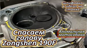 Спасаем голову Zongshen 190F. АНОМАЛЬНАЯ МОТОСОБАКА.