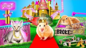 Богатая кошка vs бедная собака! Строим домики для животных