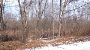 Наши окрестности.