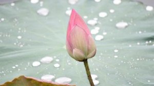 музыка для релаксации,   медитации,  расслабления,   спокойствия и сна