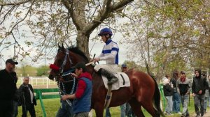 Краснодарский ипподром_промо ролик