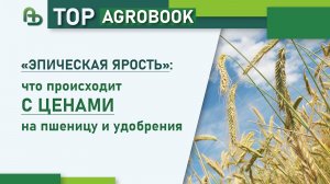 «Эпическая ярость»: что происходит с ценами на пшеницу и удобрения | TOP Agrobook:обзор агроновостей