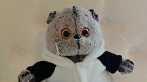 Вечер с Басиками