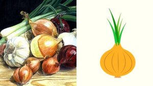 Лук: какими качествами он обладает