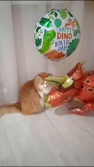 Котэ