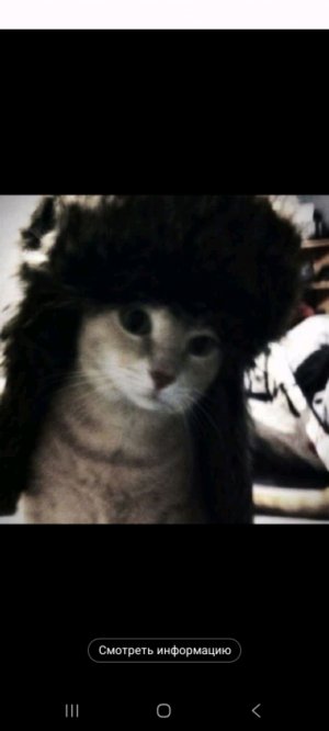 к поп группа little angels!