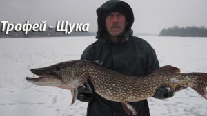 Февральская щука со льда