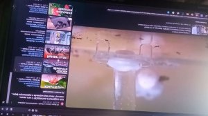 о муравьях жнецах