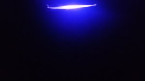 Ночная музыка