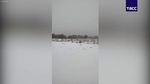 В Сахаре выпал снег в седьмой раз за 40 лет.