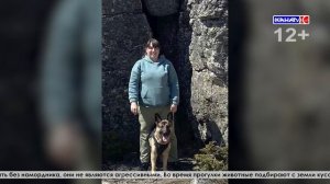 Серовчане требуют расследования и остановку безнаказанной массовой травли собак