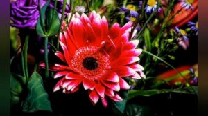 Цветы🌸🌺🌻🌹🌷🌼💐