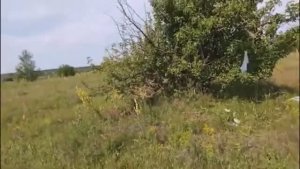 Россия Тамбовская область Мичуринский район село Старое Хмелевое река Польной Воронеж лета 2025/7534