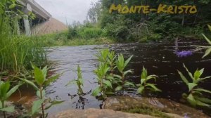 Звук шума лесной реки, успокаивает и расслабляет для сна, медитации и учебы,собраться с мыслями,сон