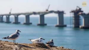 Италия строит самый рискованный подвесной мост в мире