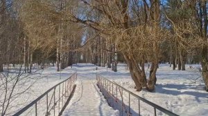 Прогулка в парке.