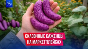 Саженцы несуществующих растений продают на маркетплейсах