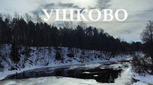 Прогулка в Курортном районе СПб