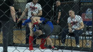 Впервые в Иркутске проходят чемпионат и первенство Сибирского федерального округа по ММА