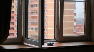 Двое детей выжили, выпав из окна пятого этажа в Тульской области