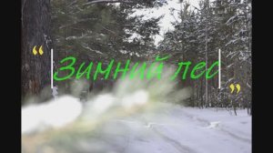 ЗИМНИЙ ЛЕС