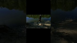 природа,не описуемые виды.mp4