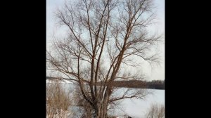 Вечерняя весенняя прогулка. Закат ( 13 марта)