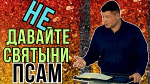 НЕ ДАВАЙТЕ СВЯТЫНИ ПСАМ. Почему свиньи не ценят жемчуг? | Виталий Костюкевич