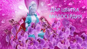 Воскресная служба "Дар цветка милосердия"