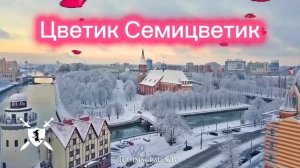 новая песня Цветик-семицветик от Baba Yaga Phenom