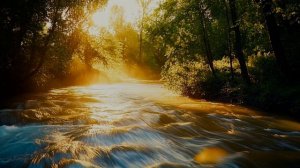 Я душою что то занемог.