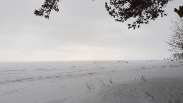 Прогулка по бору. смотреть онлайн