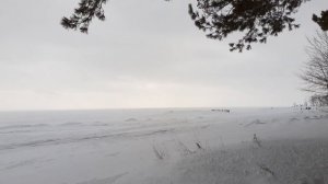 Прогулка по бору.