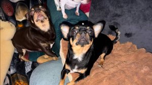 Доброго всем вечера и самой спокойной ночи.