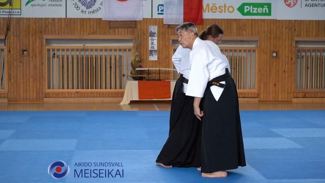 6.Aikido Shomen Uchi Shihonage, Iriminage & Kotegaeshi Shishiya Sensei Pilsen 2023