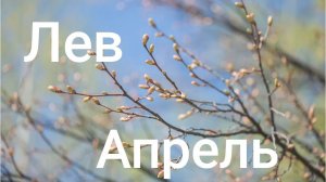 Таро расклад для Львов на апрель 2026 года