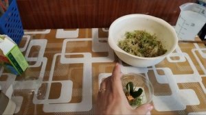 Посадка деток Alladin Kiss и Taisuco Jasper в тепличку на мох.