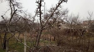 Показываю наш участок.
14 марта.