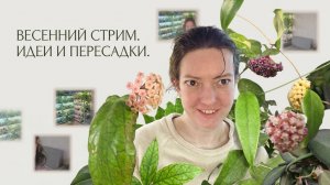 Белка Сид, Свежие НОВОСТИ и ЧЕРЕНКИ в Прямом Эфире!