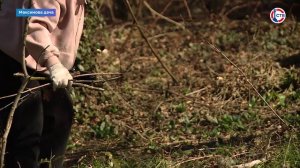 На «Максимовой даче» прошла экологическая акция